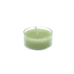 Zest Candle 1.5 In. Sage Green Tealight Candles (50-Pack)
