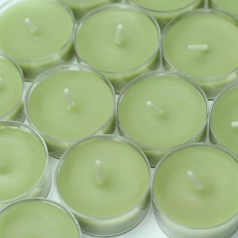 Zest Candle 1.5 In. Sage Green Tealight Candles (50-Pack) 2 Zest Candle 1.5 In. Sage Green Tealight Candles (50-Pack) - Image 2