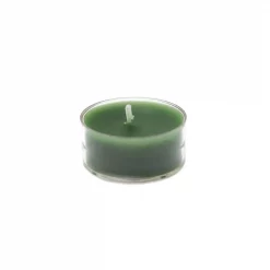 Zest Candle 1.5 In. Hunter Green Tealight Candles (50-Pack)