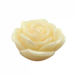 Zest Candle 3 In. Ivory Rose Floating Candles (12-Box)