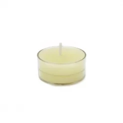 Zest Candle 1.5 In. Ivory Tealight Candles (50-Pack)